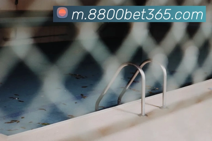 bet365APP 封面图